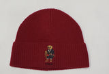 Nwt Polo Ralph Lauren Snow Explorer Teddy Bear Skully