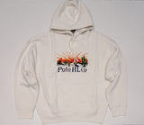 Nwt Polo Ralph Lauren Southwestern Desert Graphic Relaxed Fit Hoodie
