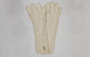 Nwt Polo Ralph Lauren Women's RL Small Pony Gloves