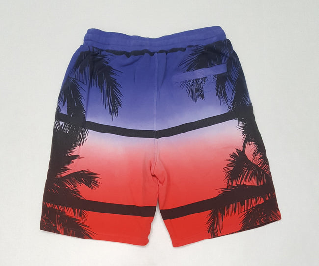 Dreamland Cartel Dip Dye Shorts - Unique Style