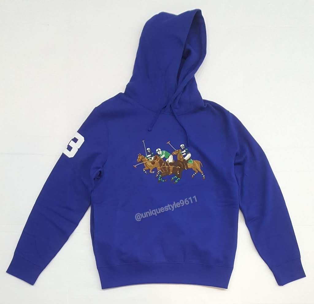 Polo bear embroidered online hoodie