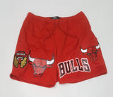 Pro Standard Chicago Bulls Mesh Shorts - Unique Style
